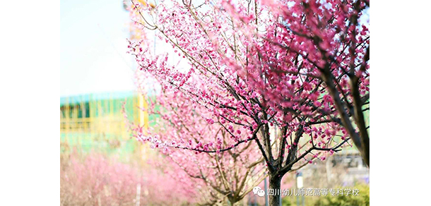 四川幼兒師范高等?？茖W(xué)校 - 最美大學(xué)
