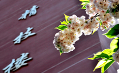 貴州建設職業(yè)技術學院 - 我的大學