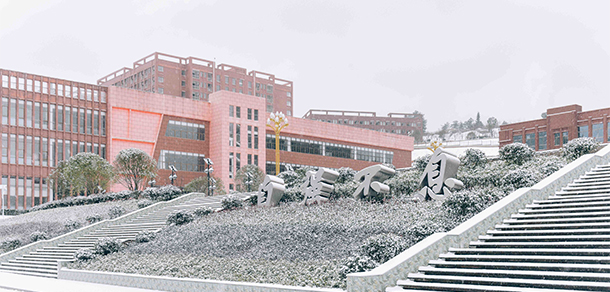 我的大學(xué)-大學(xué)志