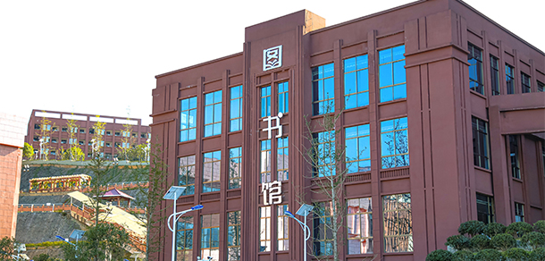 我的大學(xué)-大學(xué)志