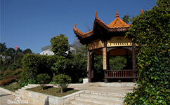 歷史沿革(概)校史