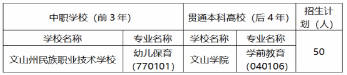 文山學(xué)院 文山州民族職業(yè)技術(shù)學(xué)校2025年“3+4”招生簡章