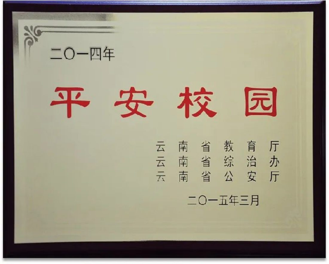 麗江文化旅游學(xué)院（原云南大學(xué)旅游文化學(xué)院）2022年專科招生簡(jiǎn)章