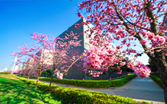 云南工商學院 - 我的大學