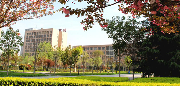 我的大學-大學志