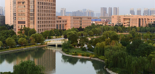我的大學-大學志