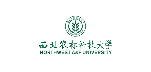 我的大學-大學志