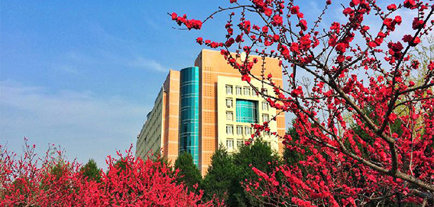 陜西中醫(yī)藥大學 - 最美大學