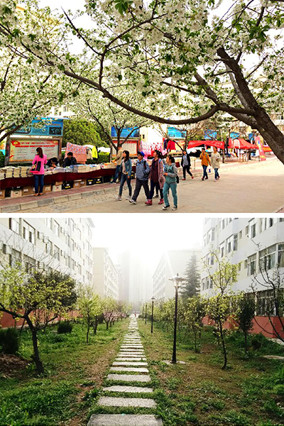 陜西中醫(yī)藥大學