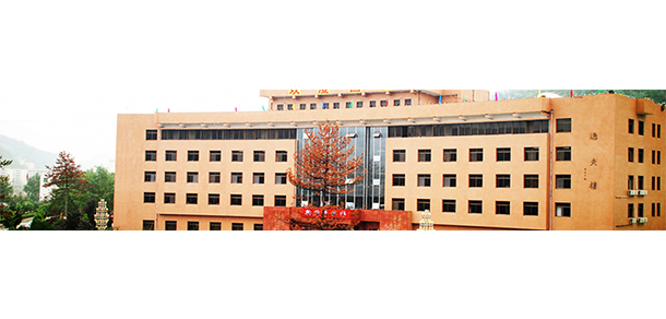 延安大學 - 最美大學