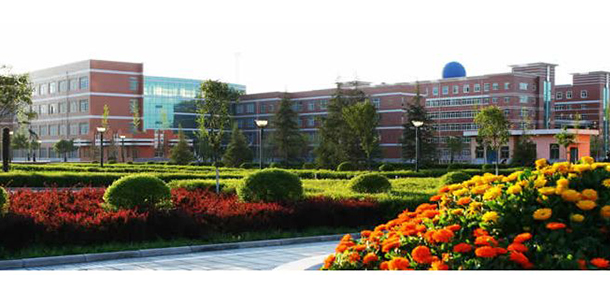 我的大學(xué)-大學(xué)志