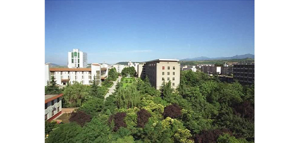 我的大學(xué)-大學(xué)志