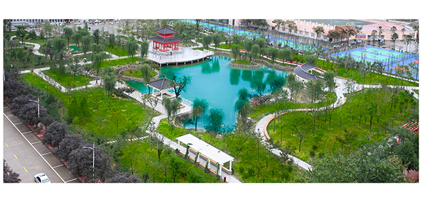 我的大學(xué)-大學(xué)志