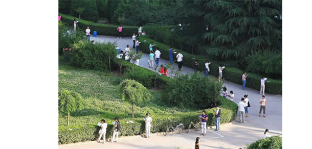 我的大學(xué)-大學(xué)志