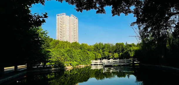 我的大學-大學志