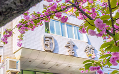 招生公告 · 招生簡章 · 招生計(jì)劃