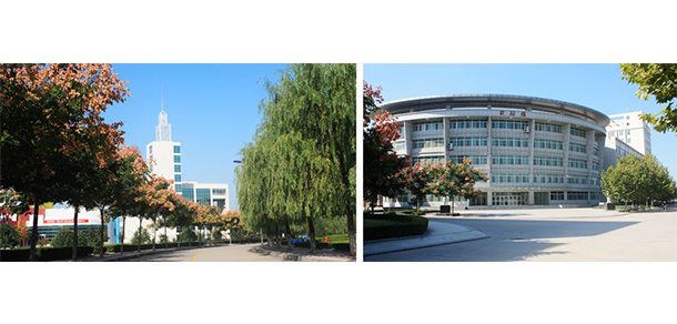我的大學(xué)-大學(xué)志