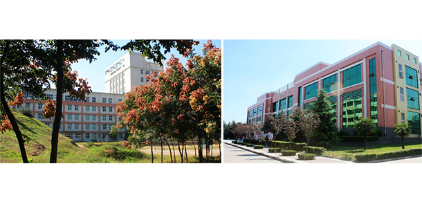 我的大學(xué)-大學(xué)志