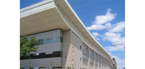 我的大學(xué)-大學(xué)志
