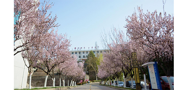 我的大學(xué)-大學(xué)志