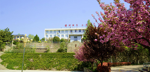 我的大學(xué)-大學(xué)志