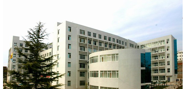 我的大學(xué)-大學(xué)志