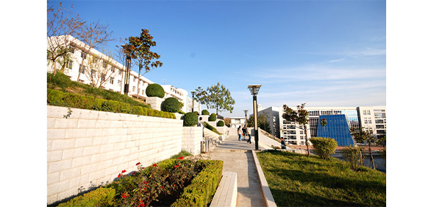 我的大學(xué)-大學(xué)志