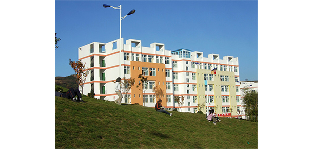 我的大學(xué)-大學(xué)志