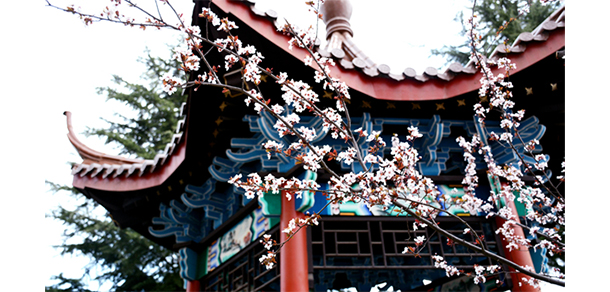 我的大學(xué)-大學(xué)志