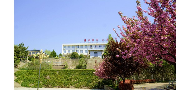 我的大學(xué)-大學(xué)志