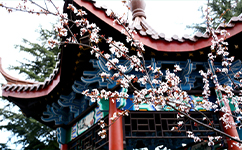 歷史沿革(概)校史