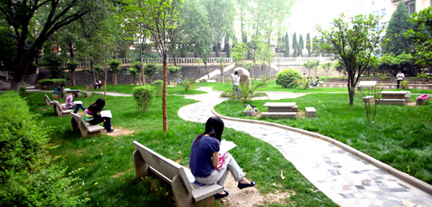 我的大學(xué)-大學(xué)志