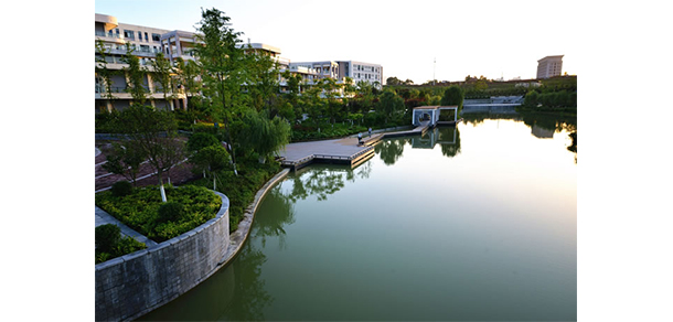 我的大學(xué)-大學(xué)志