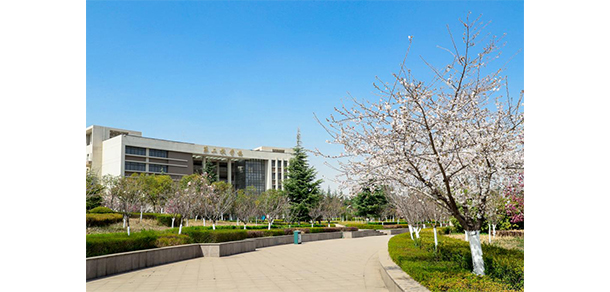 我的大學(xué)-大學(xué)志