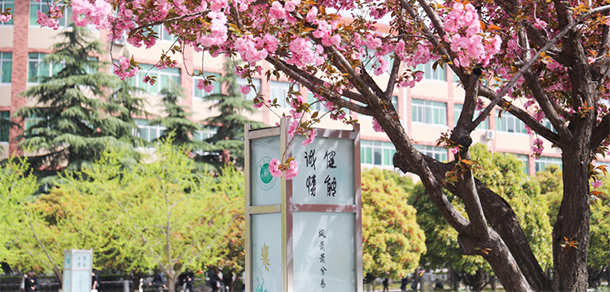 我的大學(xué)-大學(xué)志