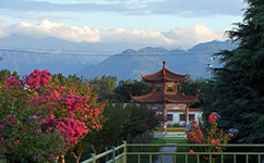 文化標(biāo)識(shí)：校名題寫 / ?；赵O(shè)計(jì)