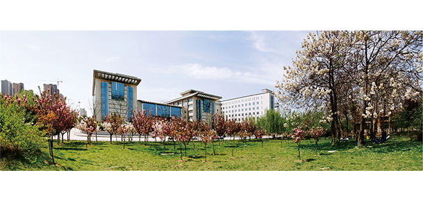 我的大學(xué)-大學(xué)志