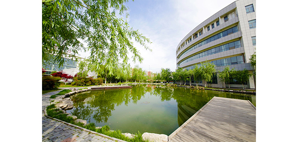 我的大學(xué)-大學(xué)志