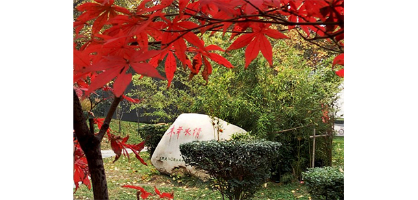 我的大學(xué)-大學(xué)志