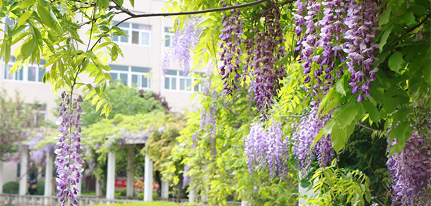我的大學-大學志