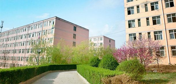 我的大學-大學志