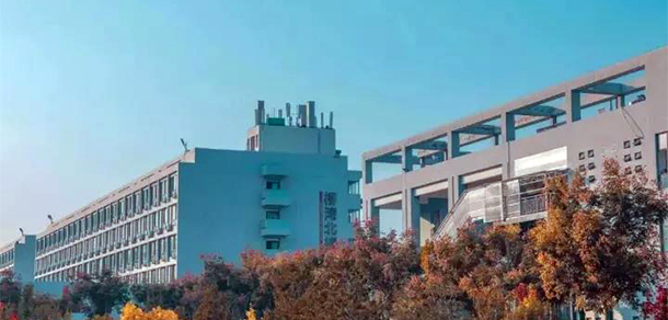 我的大學(xué)-大學(xué)志