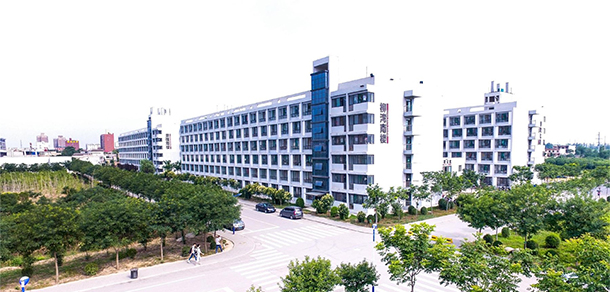 我的大學(xué)-大學(xué)志
