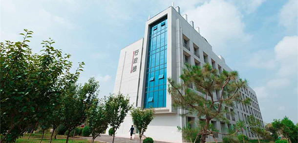 我的大學(xué)-大學(xué)志