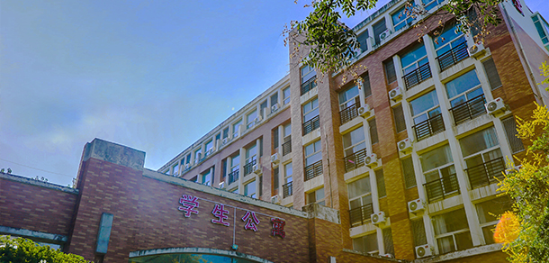 我的大學(xué)-大學(xué)志