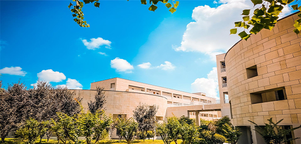 我的大學(xué)-大學(xué)志