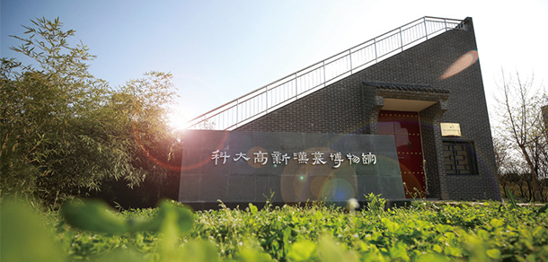 我的大學(xué)-大學(xué)志