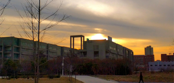 我的大學(xué)-大學(xué)志
