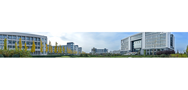 我的大學-大學志