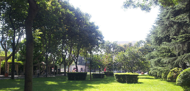 我的大學-大學志